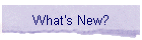 What's New?